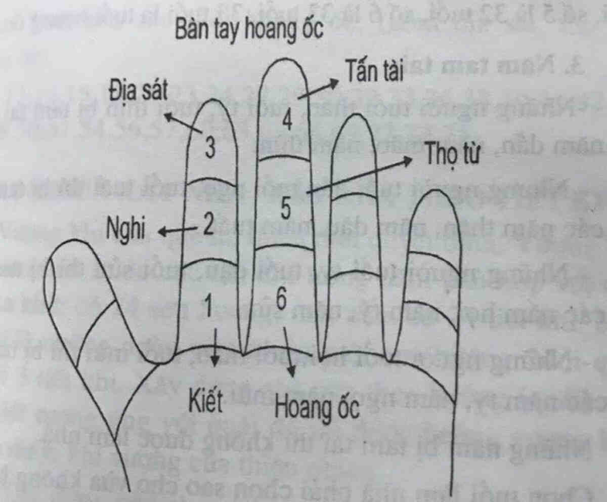 Cách tính tuổi phạm Hoang ốc dựa vào hình bàn tay với 6 cung (Ảnh minh hoạ) 