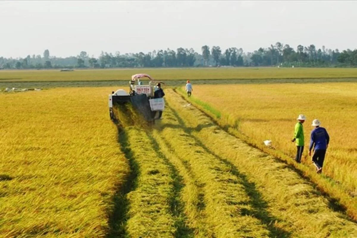 đất ruộng có được cáp Sổ đỏ không